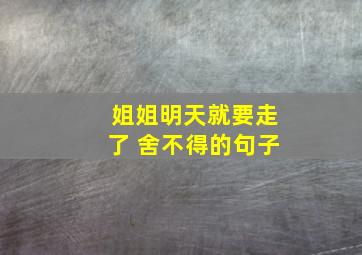 姐姐明天就要走了 舍不得的句子